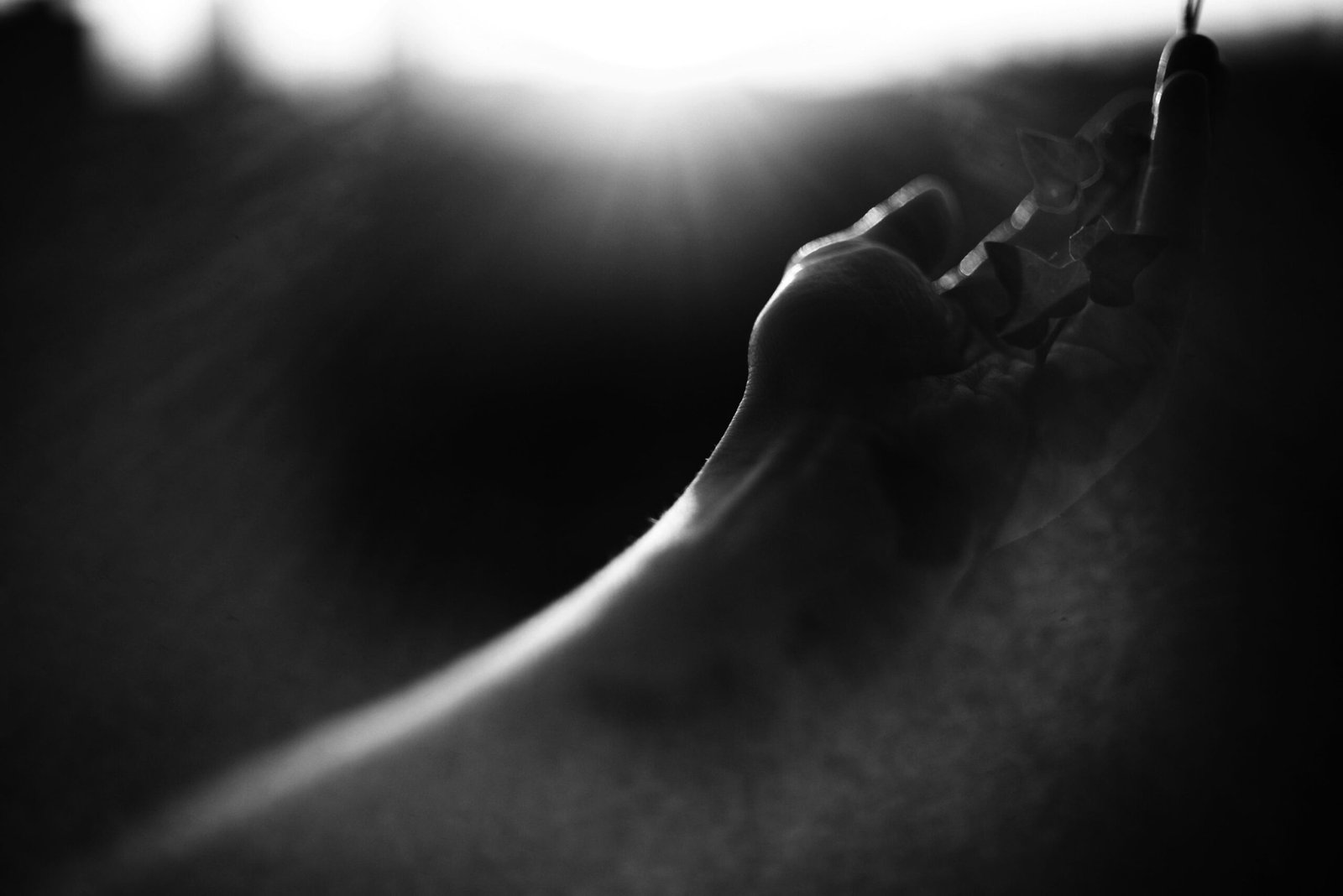 Hitam Bukanlah Warna dalam Sains